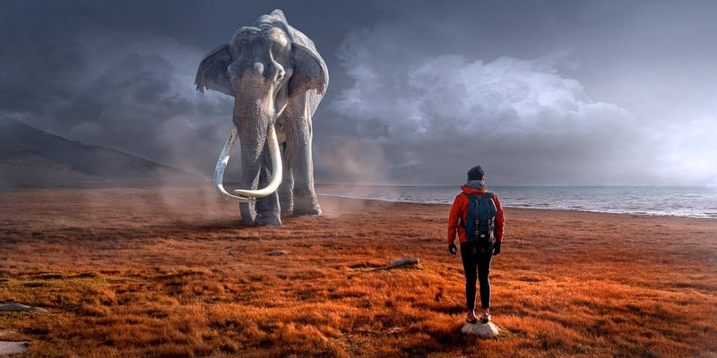 Prehistoric Encounters